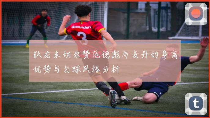 狄龙米切尔赞范德彪与麦丹的身高优势与打球风格分析