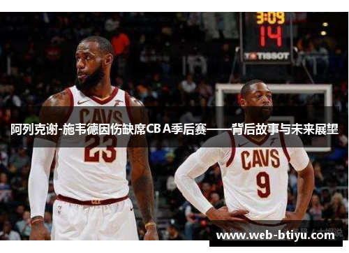 阿列克谢-施韦德因伤缺席CBA季后赛——背后故事与未来展望